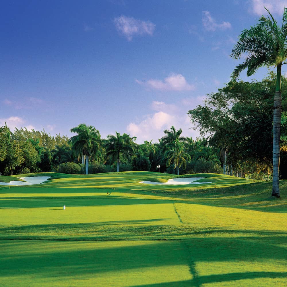 Activity Golf Hole07